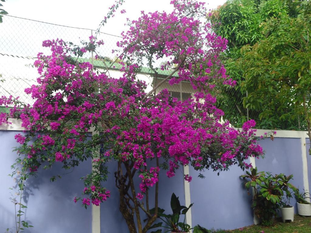 Hotel Jardin Del Carmen San Salvador Esterno foto